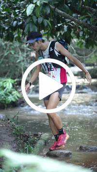 BIB:  <button type="button" onclick="openModal(27824766)" class="btn btn-primary btn-sm float-right" data-toggle="modal" data-target=".modal-high-quality">
                <i class="fa fa-download"></i> Download
                </button>